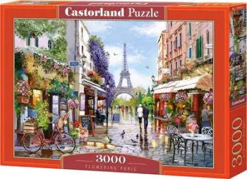Puzzle Castorland Fowering Paris, 3000 copë