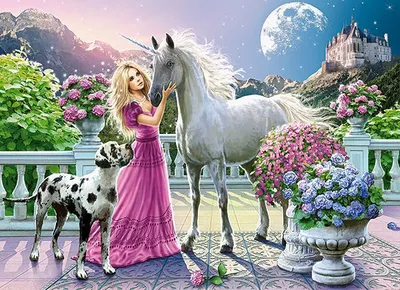 Puzzle Castorland, 300 elemente - 2