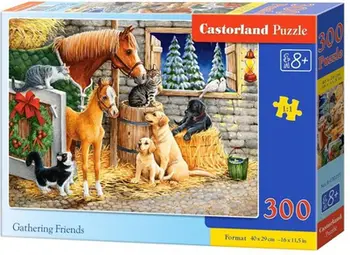 Puzzle Castorland B-030255, Gathering Friends, 300 copë, shumëngjyrëshe