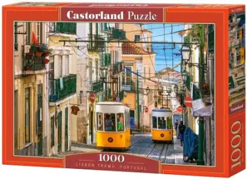 Puzzle Castorland, 100 elemente