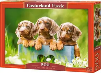 Puzzle Castorland Cute Dachshunds, 500 copa, shumengjyrësh