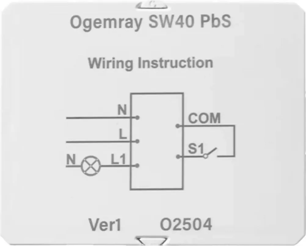 Rele intelegjent Ogemray Smart relay 25A - 2