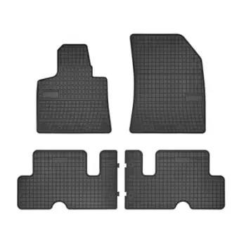 Shtroje Gome Citroen C4 Picasso 2013 0648