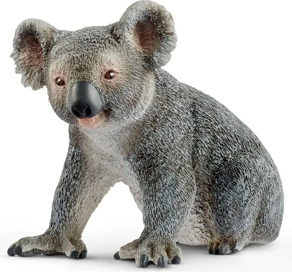 Figurë lodër Schleich Wild Life Koala Bear, shumëngjyrëshe - 1