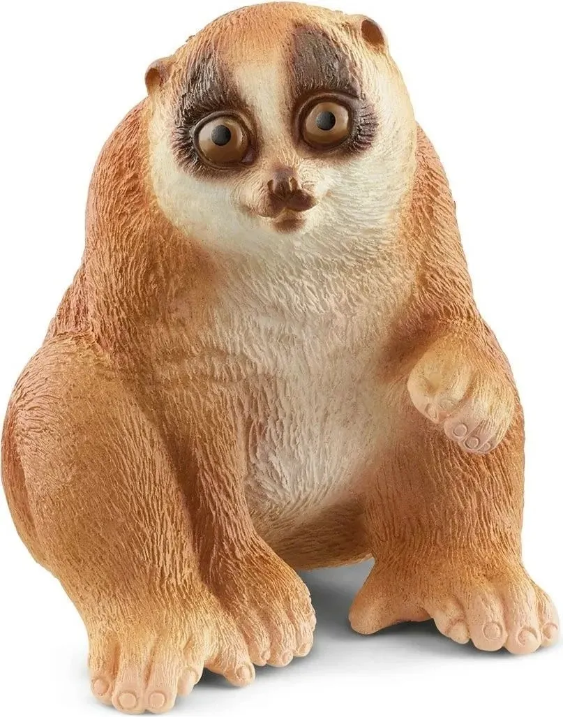 Pamja 1