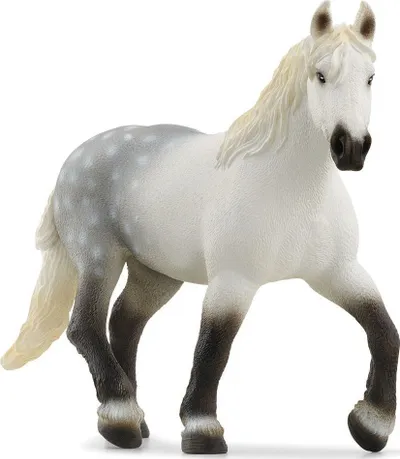 Pamja 5