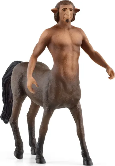Pamja 1