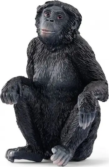 Figurë lodër Schleich Pygmy Chimpanzee Female, seri Wild Life, plastike
