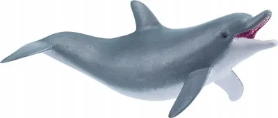Pamja 1