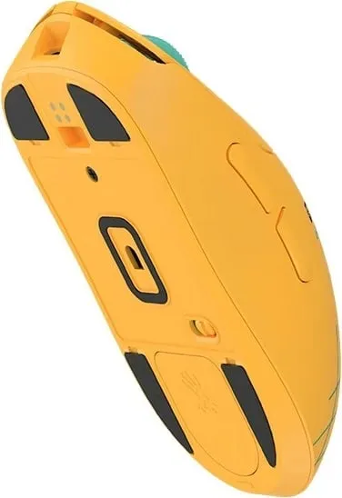 Pamja 8