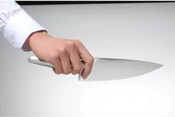 Thikë buke WMF Chef’s Edition 24cm, inox