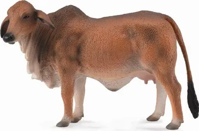 Figurinë Brahman Collecta, lopë e kuqe - 1