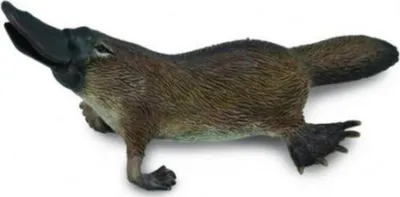 Pamja 1