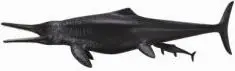 Figurë Collecta: Dinosaur Temnodontosaurus