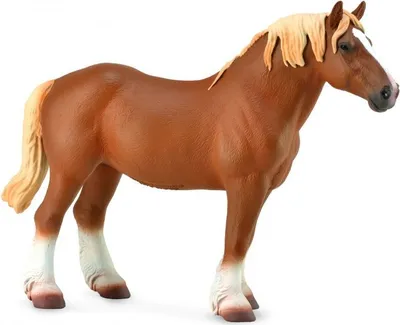 Pamja 1