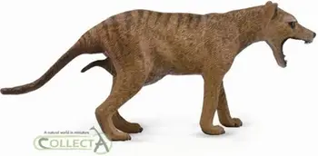 Figurë Collecta Tasmanian Thylacine, 11.6x4.8 cm, +3 vjeç
