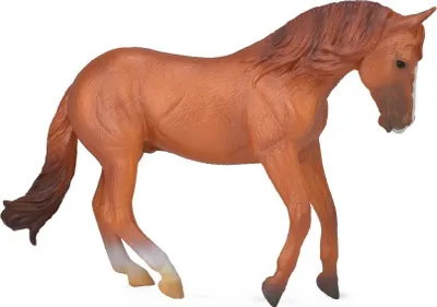 Pamja 1