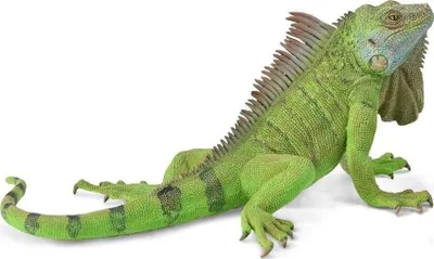 Figurë lodër Collecta Iguana, edukative, shumëngjyrëshe - 1