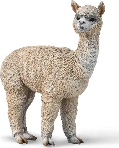 Pamja 1