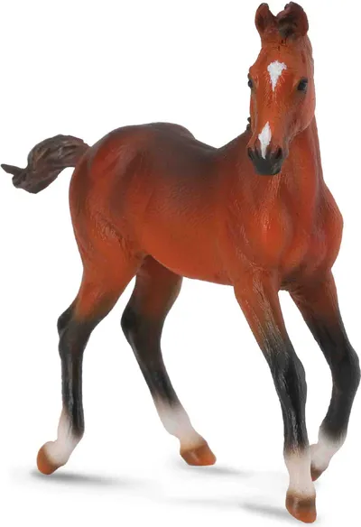 Pamja 1