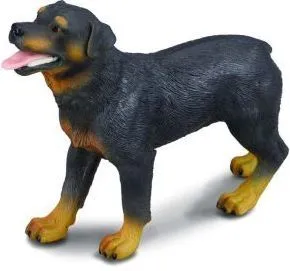 Pamja 1