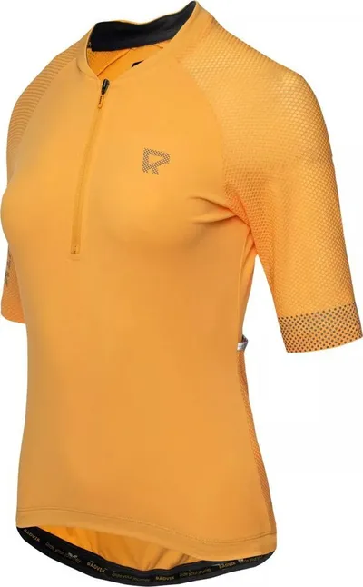 Pamja 2