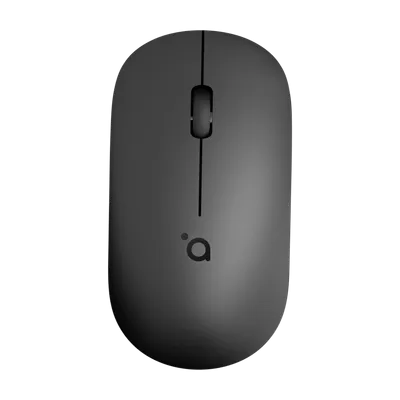 Pamja 2