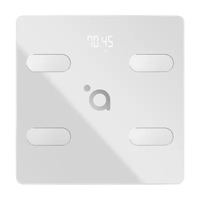 Pamja 2