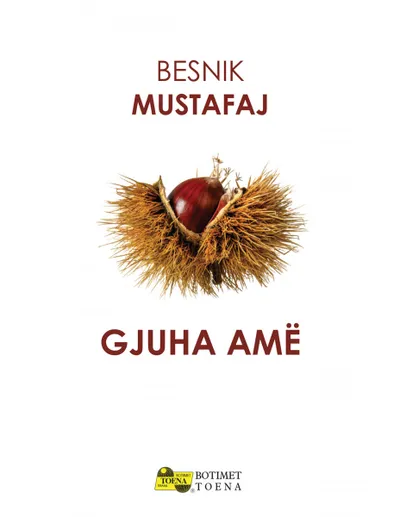 Gjuha Ame - Besnik Mustafaj - 1