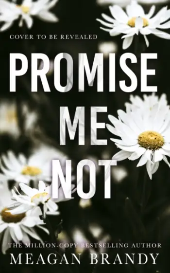 Promise Me Not - Meagan Brandy