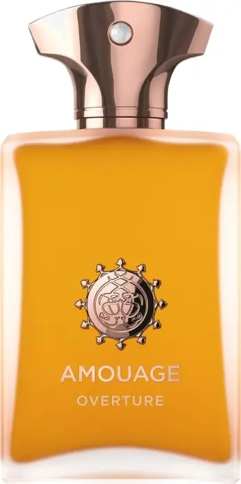 Eau de Parfum për meshkuj Amouage Overture Man 100ml