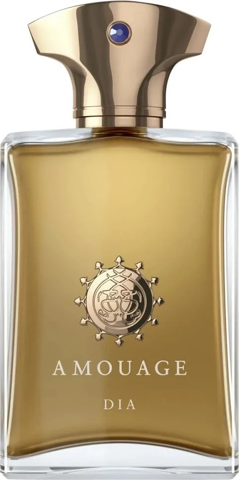 Parfum për meshkuj Amouage Dia Man 100ml - 1
