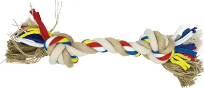 Pamja 1