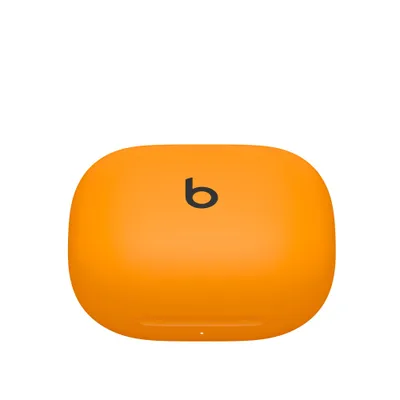 Pamja 6