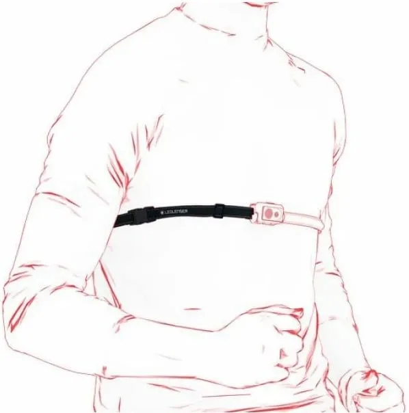 Pamja 6