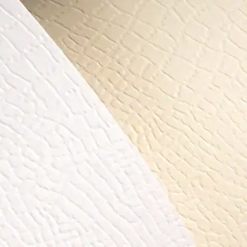 Karton dekorativ Argo Galeria Papieru Borneo Cream, A4, 220g, krem