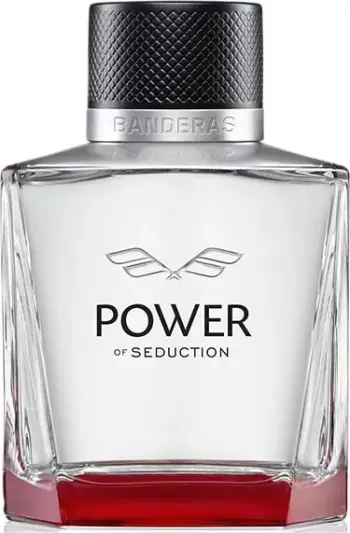 Eau de Toilette për meshkuj Antonio Banderas Power of Seduction 100ml
