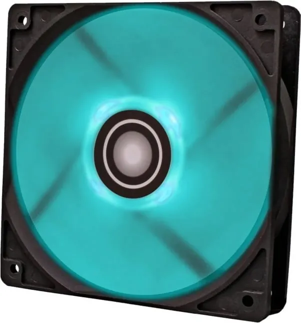 Pamja 6