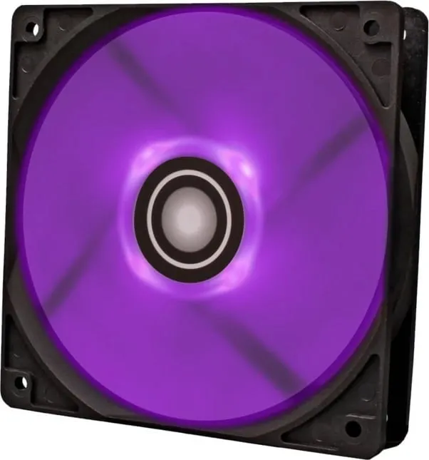 Pamja 8