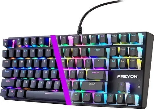 Pamja 8