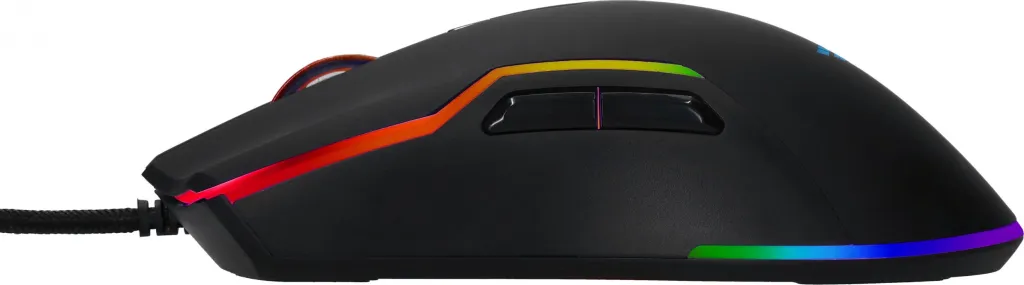 Pamja 6
