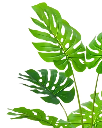 Bimë artificiale Promax Monstera, 180 cm - 2