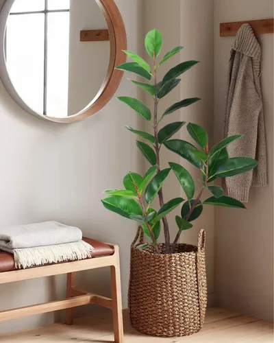Bimë artificiale Promax Rubber Tree, 90 cm - 3