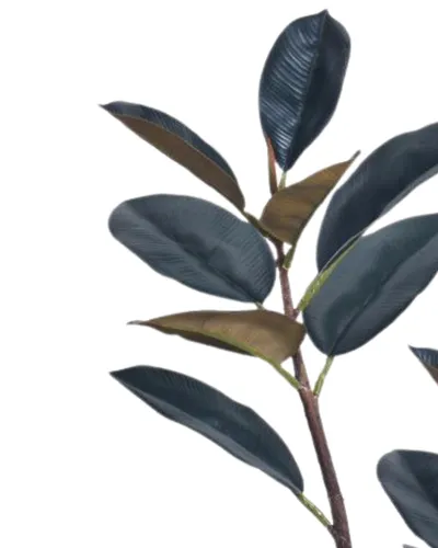 Bimë artificiale Promax Dark Rubber Tree, 90 cm - 2