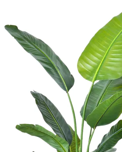 Bimë artificiale Promax Banana Tree, 220 cm - 2