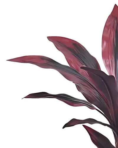 Bimë artificiale Promax Dracaena, 90 cm - 2