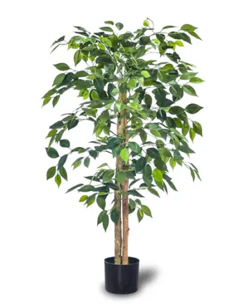 Bimë artificiale Promax Ficus Tree, 120 cm
