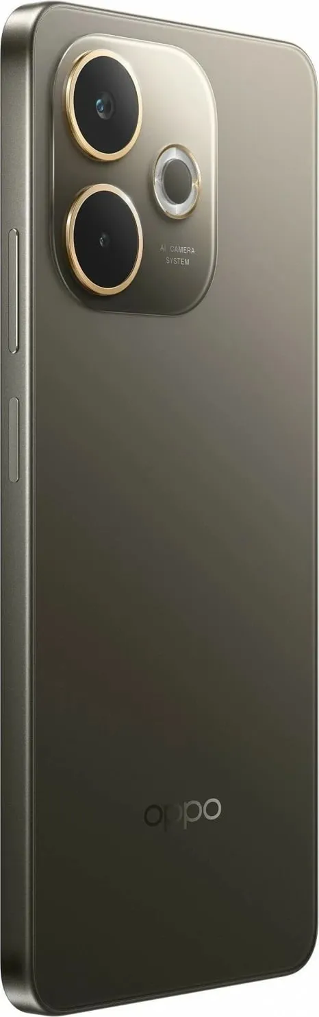 Pamja 8