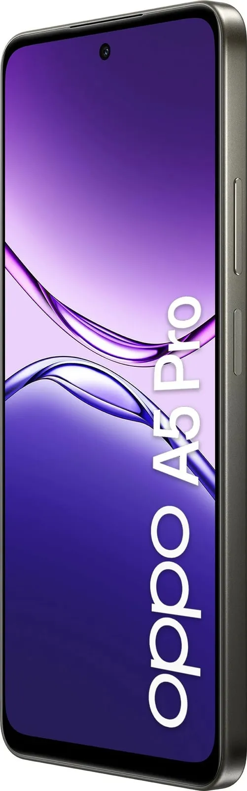 Pamja 8