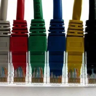 Kabllo NetRack patchcord RJ45, cat. 6 UTP, 1m, e kaltër - 2
